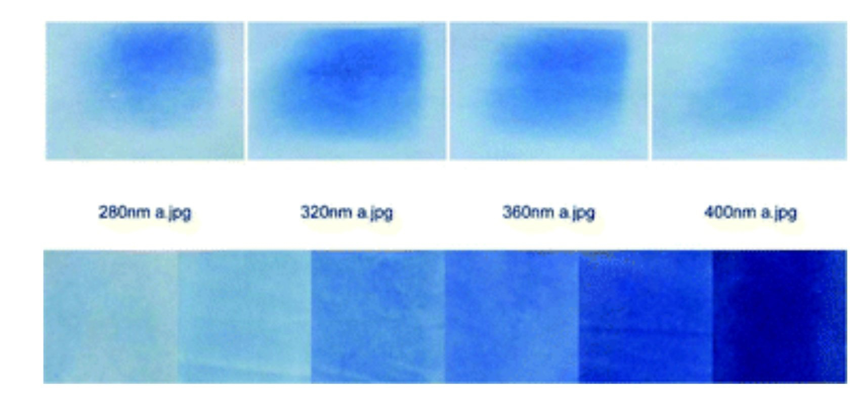cyanotype camera cyanotype photo inverted amber