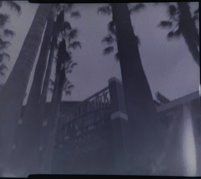 pinhole photo oracle park san francisco