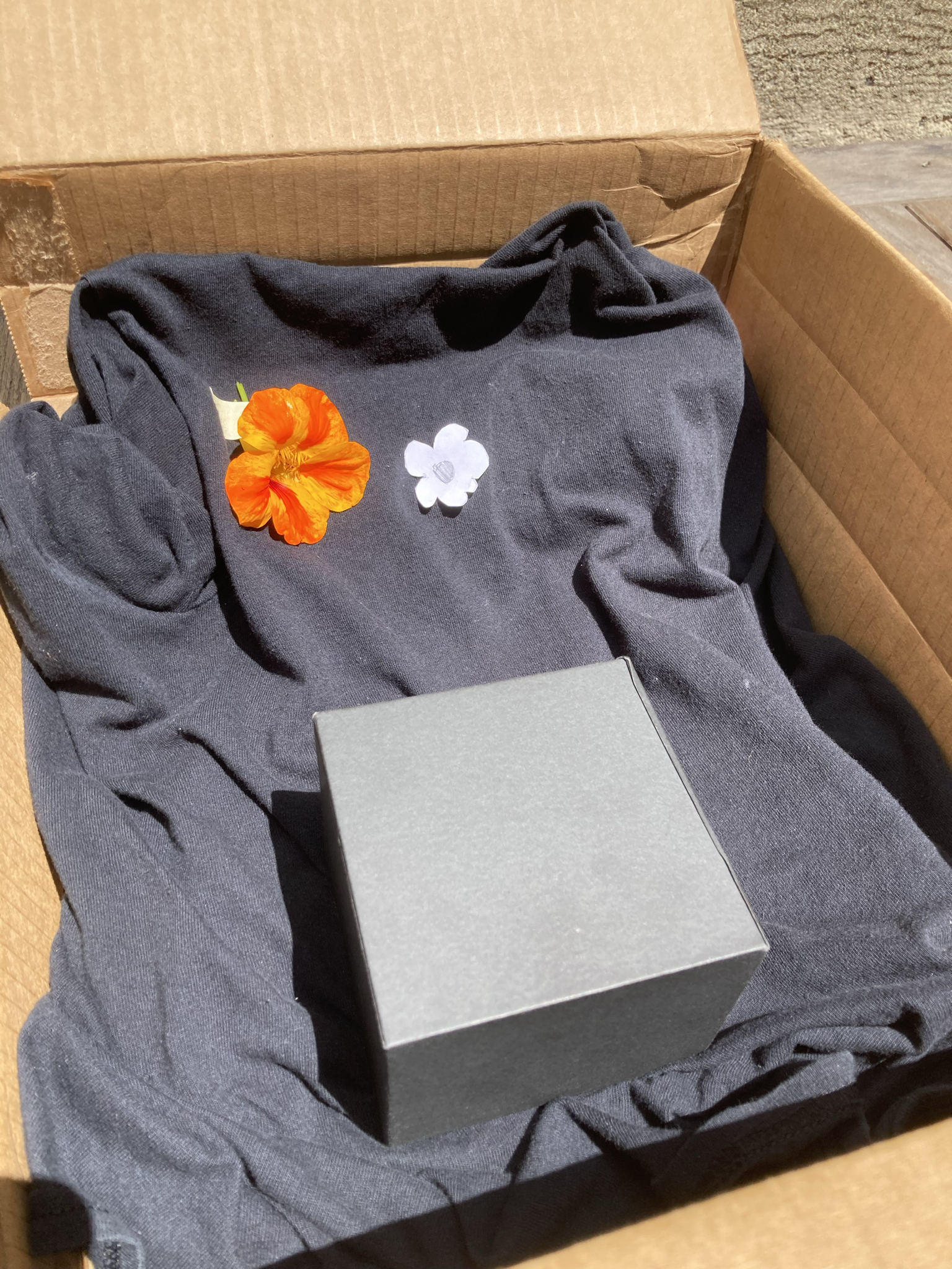 cyanotype camera cyanotype photo inverted amber