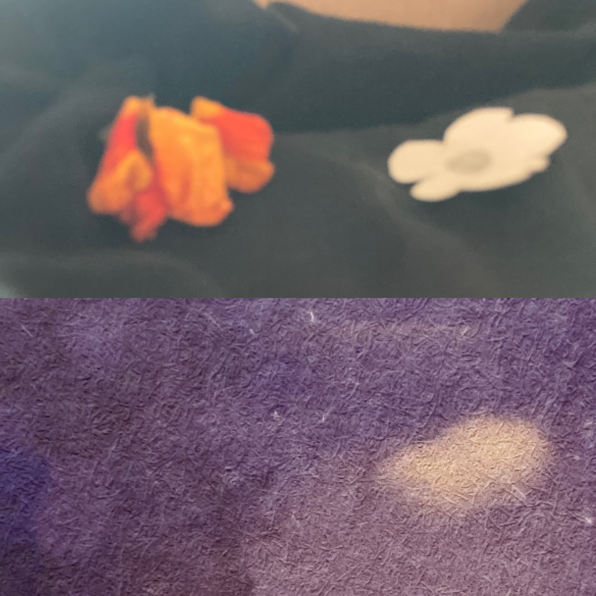 cyanotype camera cyanotype photo inverted amber