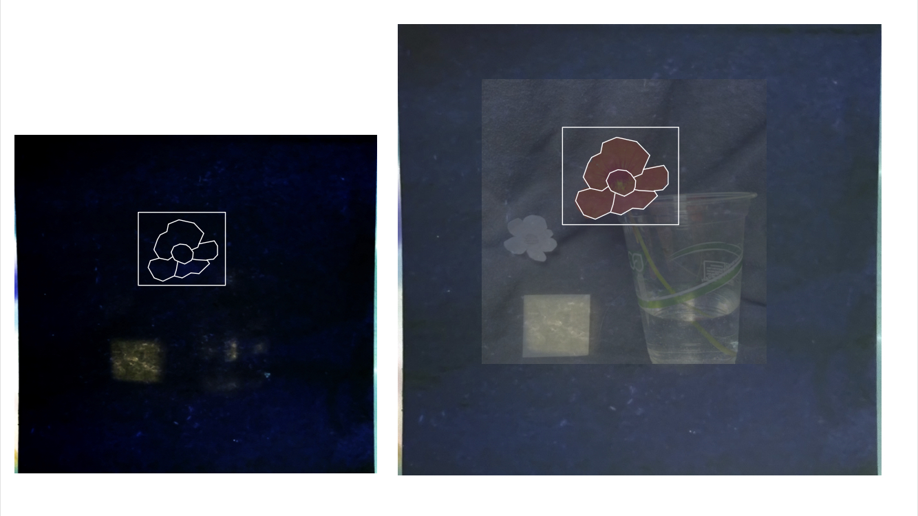 cyanotype camera cyanotype photo inverted amber